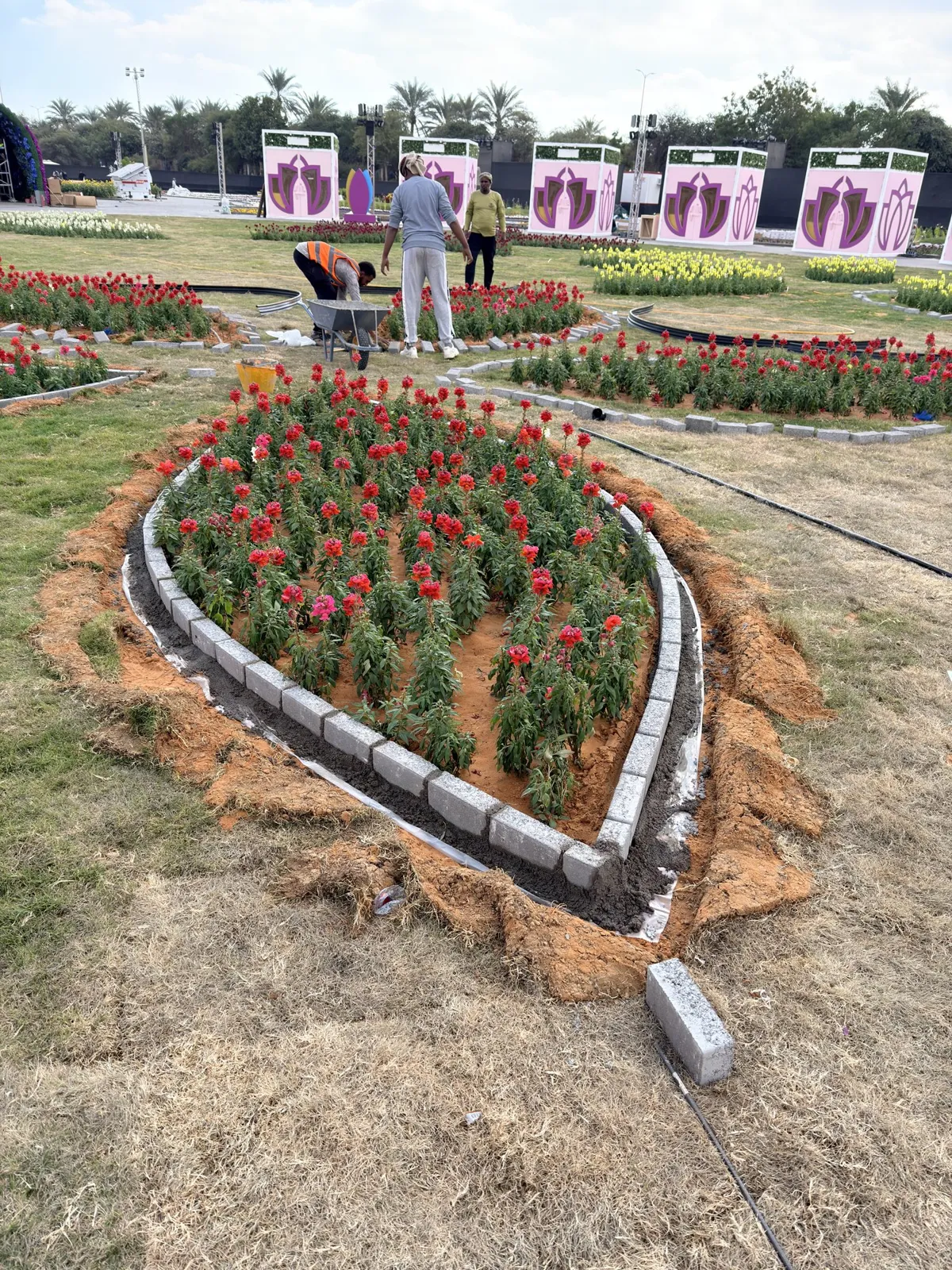 Al Ain Flower Festival — event infrastructure · Flower bed · interlock edging